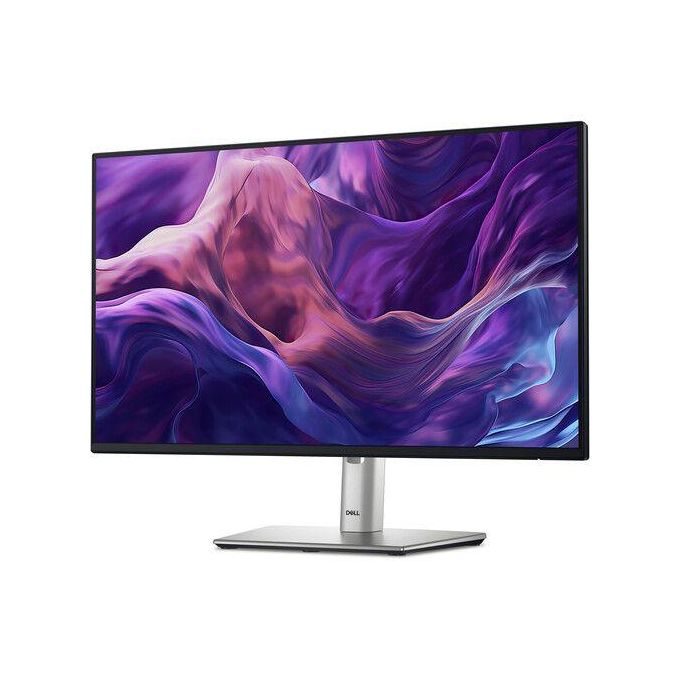Dell 24" IPS Monitor P2419H